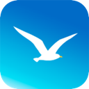 海鸥VPN